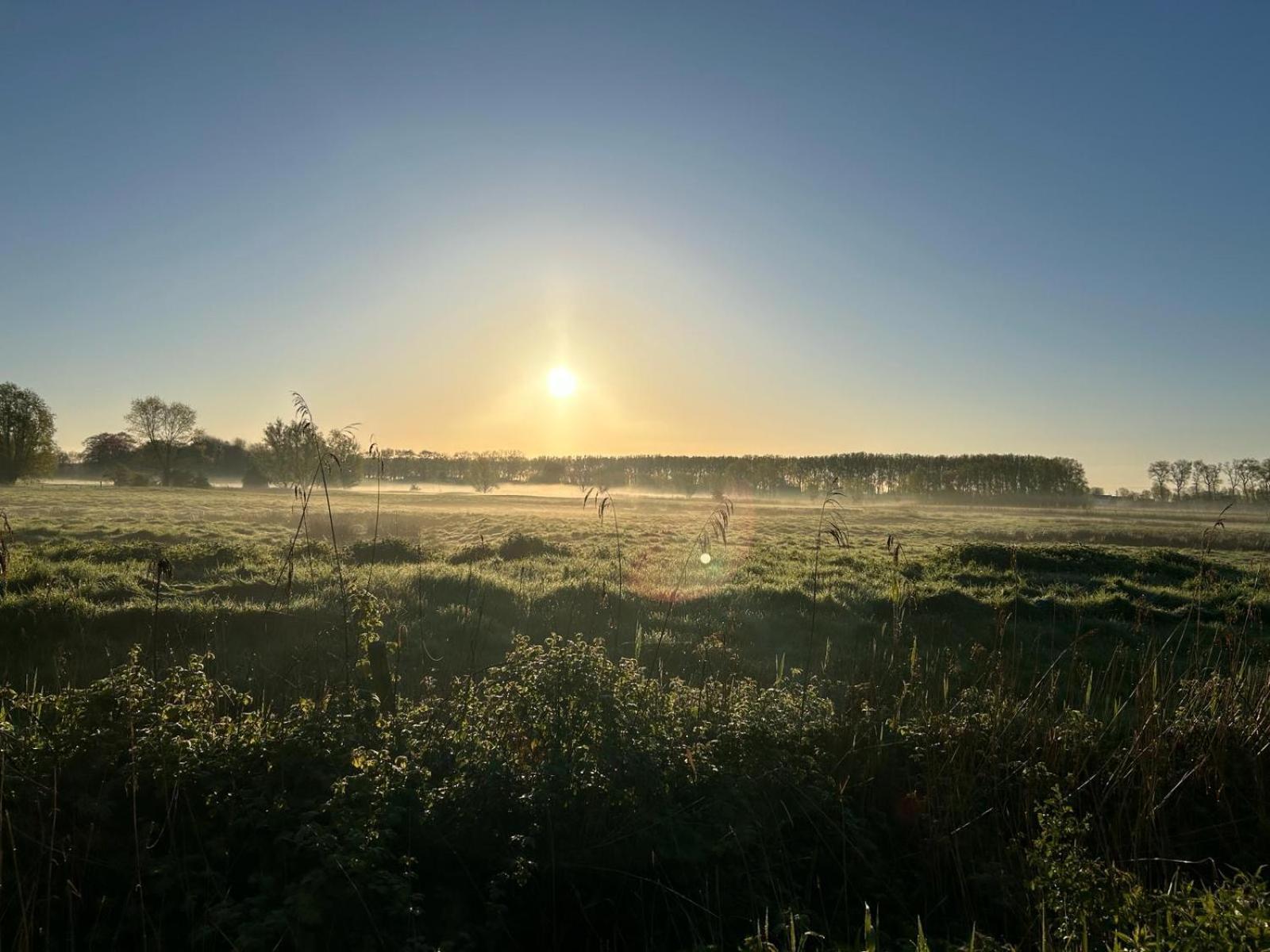 De Levensboom - Het Oud Gemeentehuis ダンメ エクステリア 写真